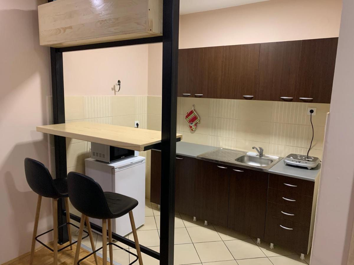 Mila Apartment Novi Sad Exterior photo